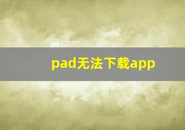 pad无法下载app