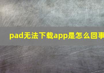 pad无法下载app是怎么回事