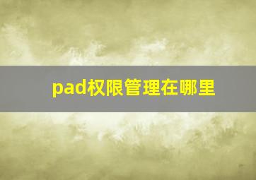 pad权限管理在哪里