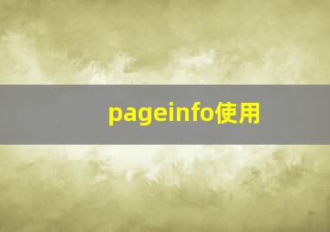 pageinfo使用