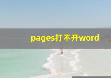 pages打不开word