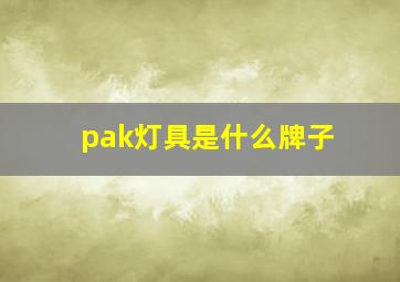 pak灯具是什么牌子