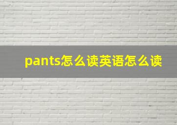 pants怎么读英语怎么读