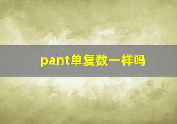 pant单复数一样吗