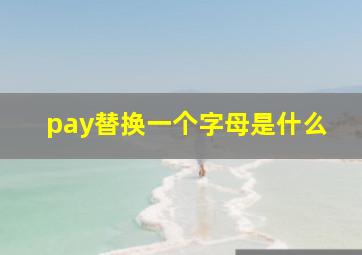 pay替换一个字母是什么