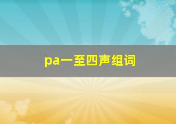 pa一至四声组词