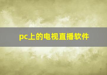 pc上的电视直播软件