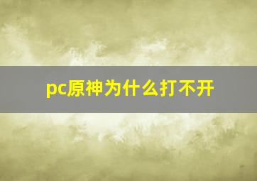 pc原神为什么打不开