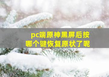 pc端原神黑屏后按哪个键恢复原状了呢