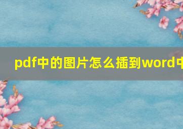 pdf中的图片怎么插到word中