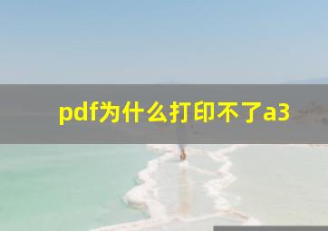 pdf为什么打印不了a3