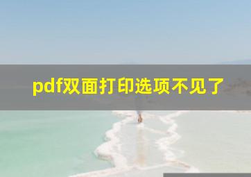 pdf双面打印选项不见了