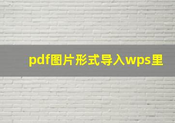 pdf图片形式导入wps里