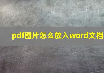 pdf图片怎么放入word文档