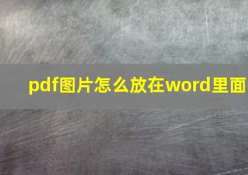 pdf图片怎么放在word里面