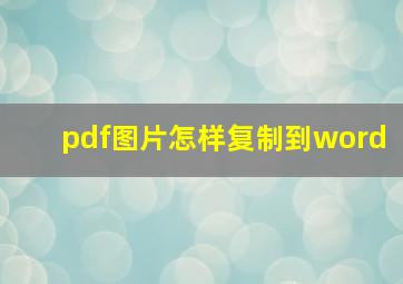 pdf图片怎样复制到word