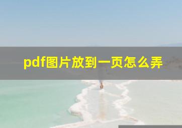 pdf图片放到一页怎么弄