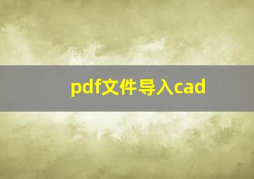 pdf文件导入cad