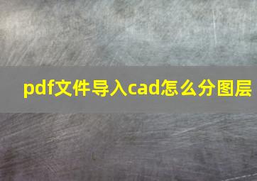 pdf文件导入cad怎么分图层