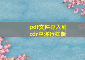 pdf文件导入到cdr中进行排版