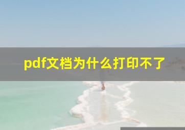 pdf文档为什么打印不了