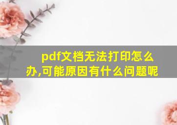 pdf文档无法打印怎么办,可能原因有什么问题呢