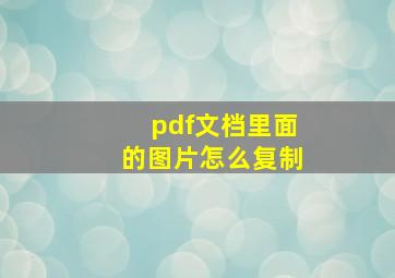 pdf文档里面的图片怎么复制