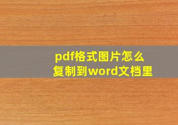 pdf格式图片怎么复制到word文档里