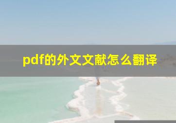 pdf的外文文献怎么翻译