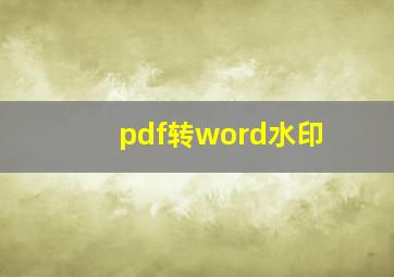 pdf转word水印