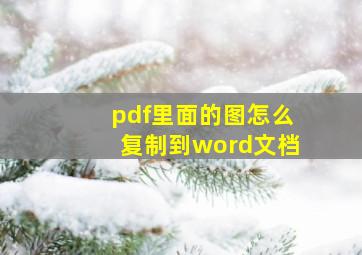 pdf里面的图怎么复制到word文档