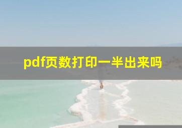 pdf页数打印一半出来吗