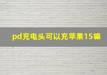 pd充电头可以充苹果15嘛