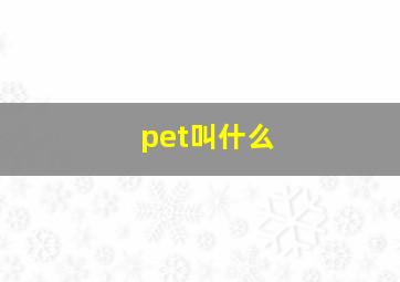 pet叫什么