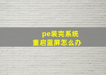 pe装完系统重启蓝屏怎么办