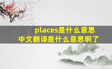 places是什么意思中文翻译是什么意思啊了