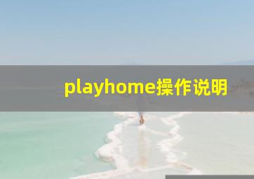 playhome操作说明