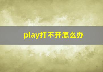 play打不开怎么办