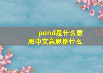 pond是什么意思中文意思是什么