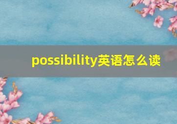 possibility英语怎么读