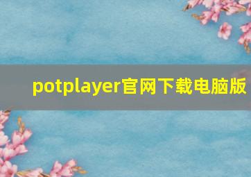 potplayer官网下载电脑版