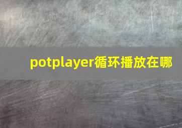 potplayer循环播放在哪