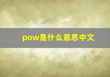 pow是什么意思中文