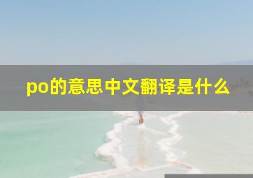 po的意思中文翻译是什么