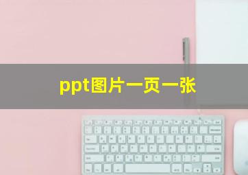 ppt图片一页一张