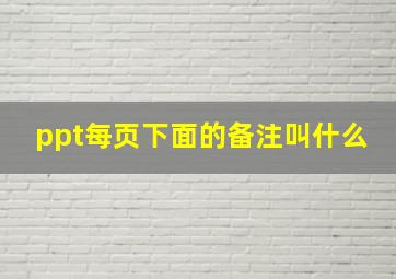 ppt每页下面的备注叫什么