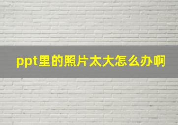 ppt里的照片太大怎么办啊