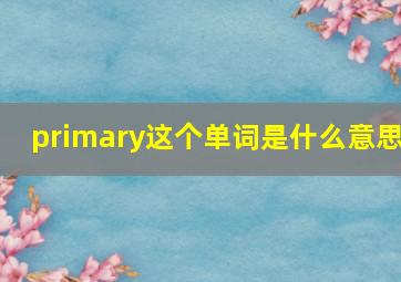 primary这个单词是什么意思