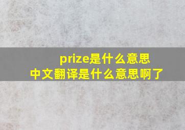 prize是什么意思中文翻译是什么意思啊了