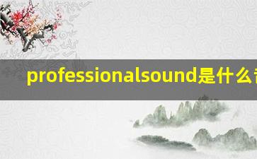 professionalsound是什么音箱